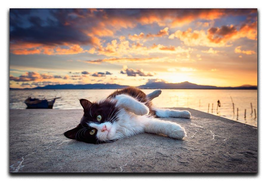 Black and white cat lying under a dramatic sunset on the lagoon Canvas Print or Poster - Canvas Art Rocks - 1