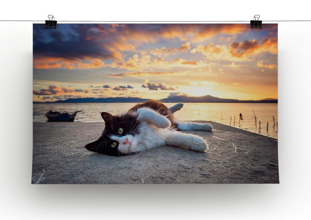 Black and white cat lying under a dramatic sunset on the lagoon Canvas Print or Poster - Canvas Art Rocks - 2