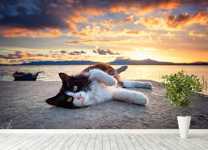 Black and white cat lying under a dramatic sunset on the lagoon Wall Mural Wallpaper - Canvas Art Rocks - 4