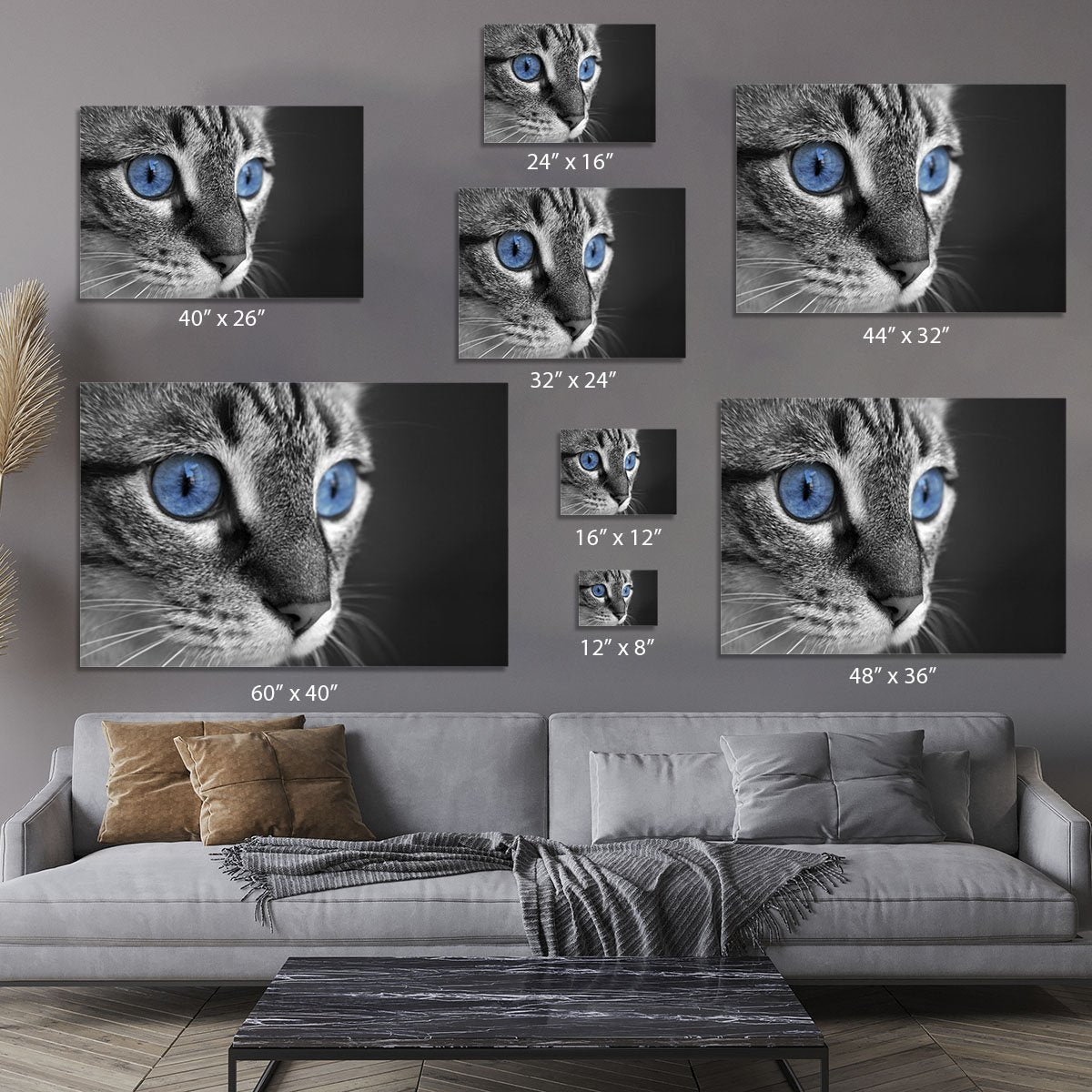 Black and white close up of cat with deep blue eyes Canvas Print or Poster