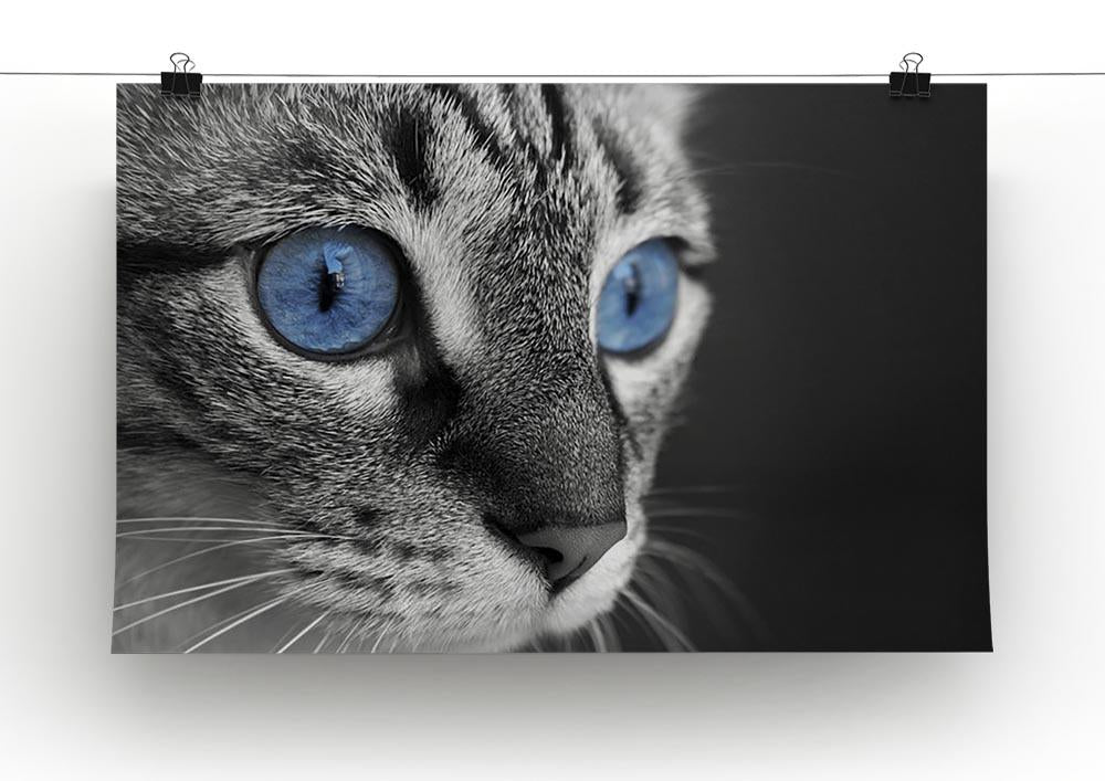 Black and white close up of cat with deep blue eyes Canvas Print or Poster - Canvas Art Rocks - 2