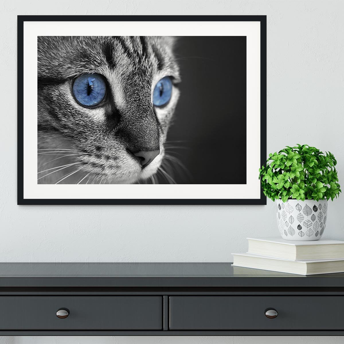 Black and white close up of cat with deep blue eyes Framed Print - Canvas Art Rocks - 1