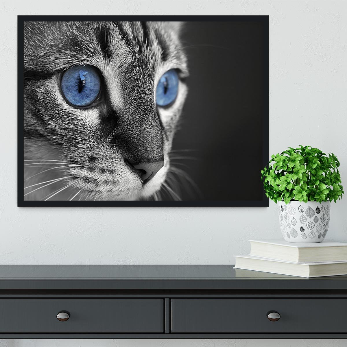 Black and white close up of cat with deep blue eyes Framed Print - Canvas Art Rocks - 2