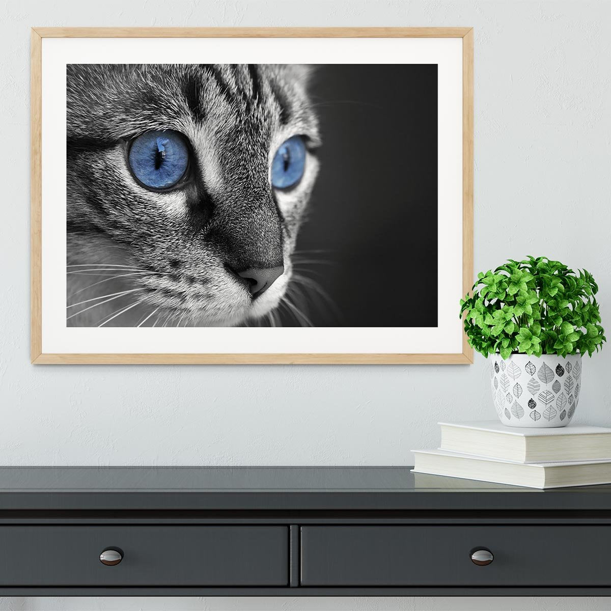 Black and white close up of cat with deep blue eyes Framed Print - Canvas Art Rocks - 3