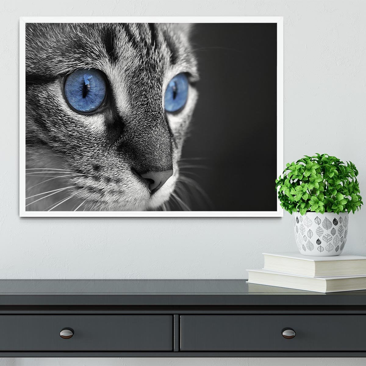 Black and white close up of cat with deep blue eyes Framed Print - Canvas Art Rocks -6
