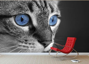 Black and white close up of cat with deep blue eyes Wall Mural Wallpaper - Canvas Art Rocks - 2