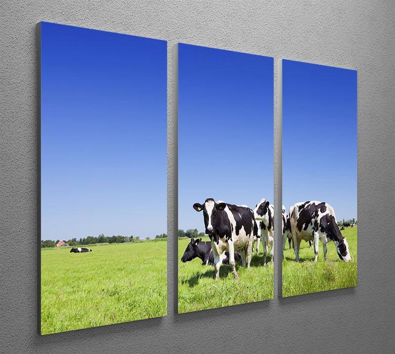 Black and white cows 3 Split Panel Canvas Print - Canvas Art Rocks - 2