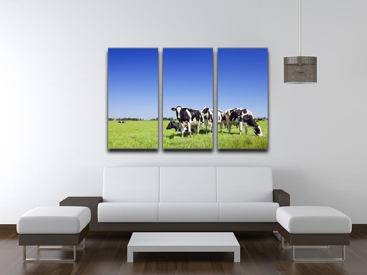 Black and white cows 3 Split Panel Canvas Print - Canvas Art Rocks - 3