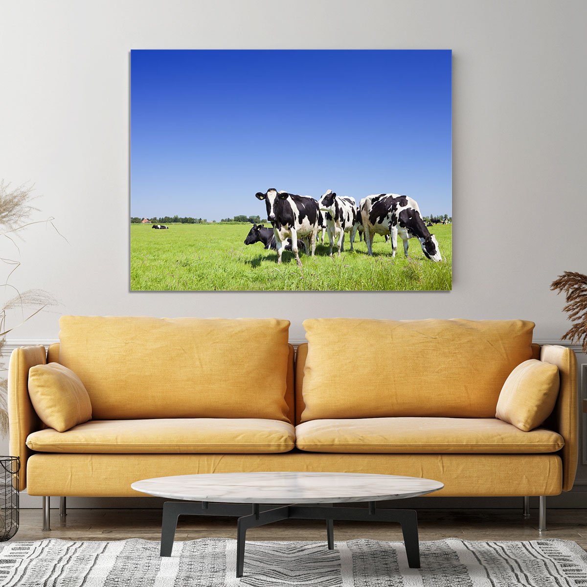 Black and white cows Canvas Print or Poster