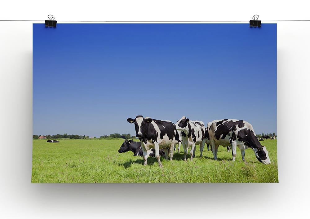 Black and white cows Canvas Print or Poster - Canvas Art Rocks - 2