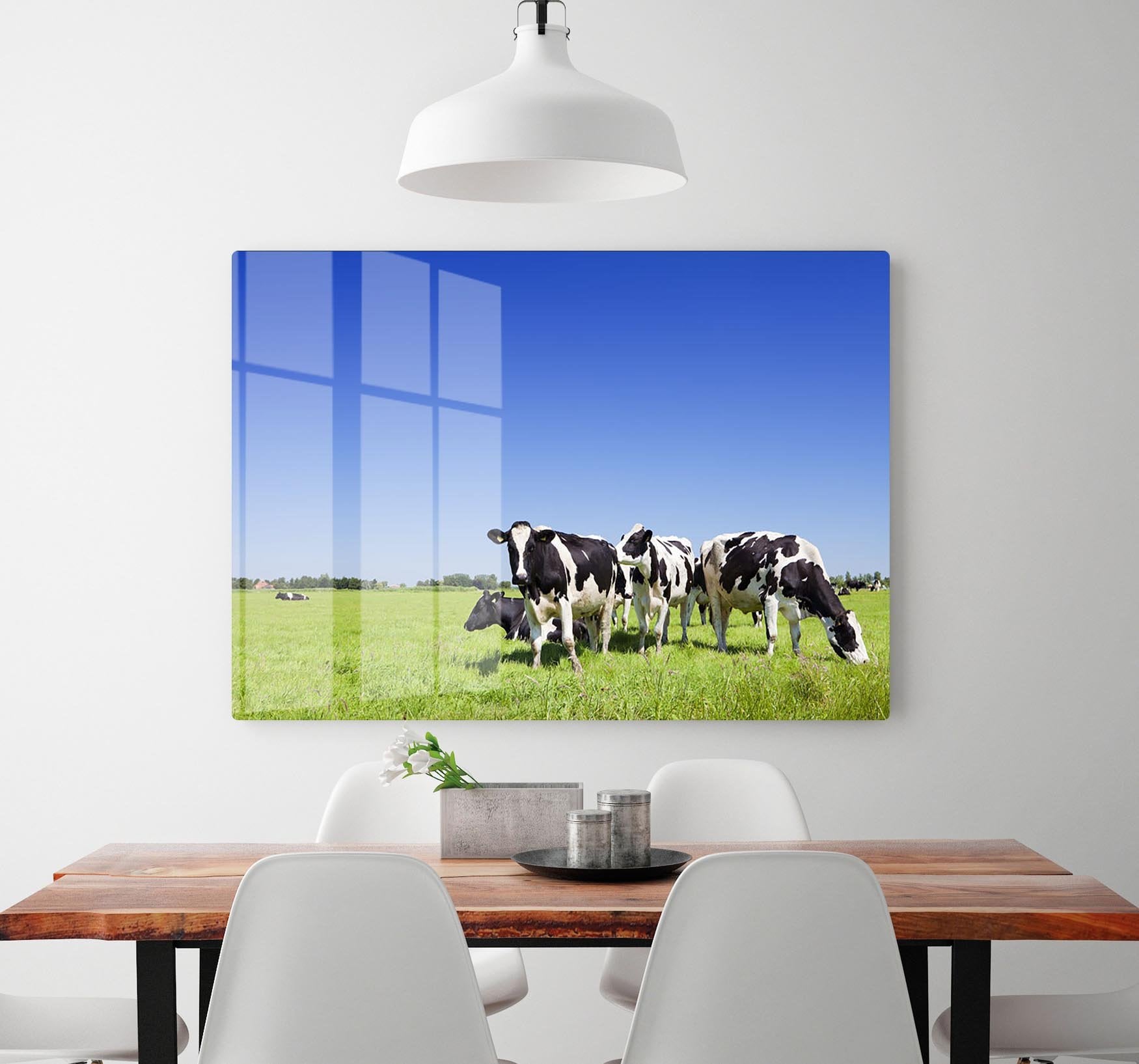 Black and white cows HD Metal Print - Canvas Art Rocks - 2