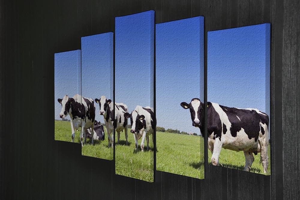 Black and white cows in a grassy field 5 Split Panel Canvas - Canvas Art Rocks - 2