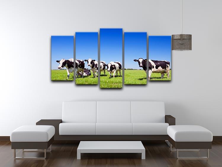 Black and white cows in a grassy field 5 Split Panel Canvas - Canvas Art Rocks - 3