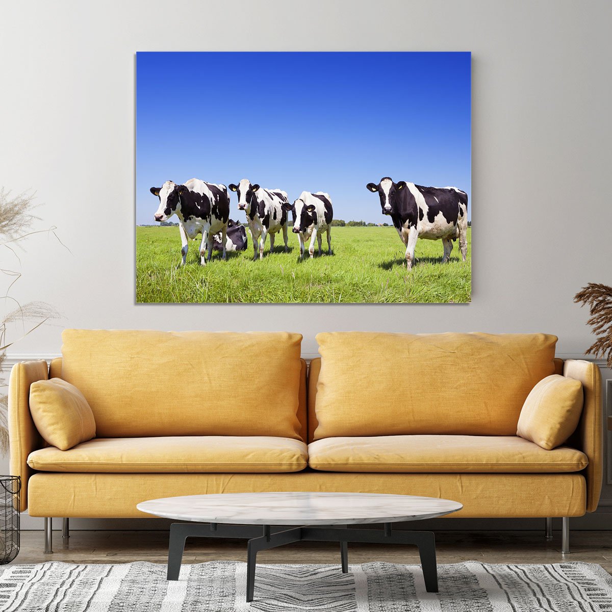 Black and white cows in a grassy field Canvas Print or Poster