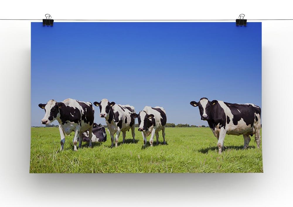 Black and white cows in a grassy field Canvas Print or Poster - Canvas Art Rocks - 2