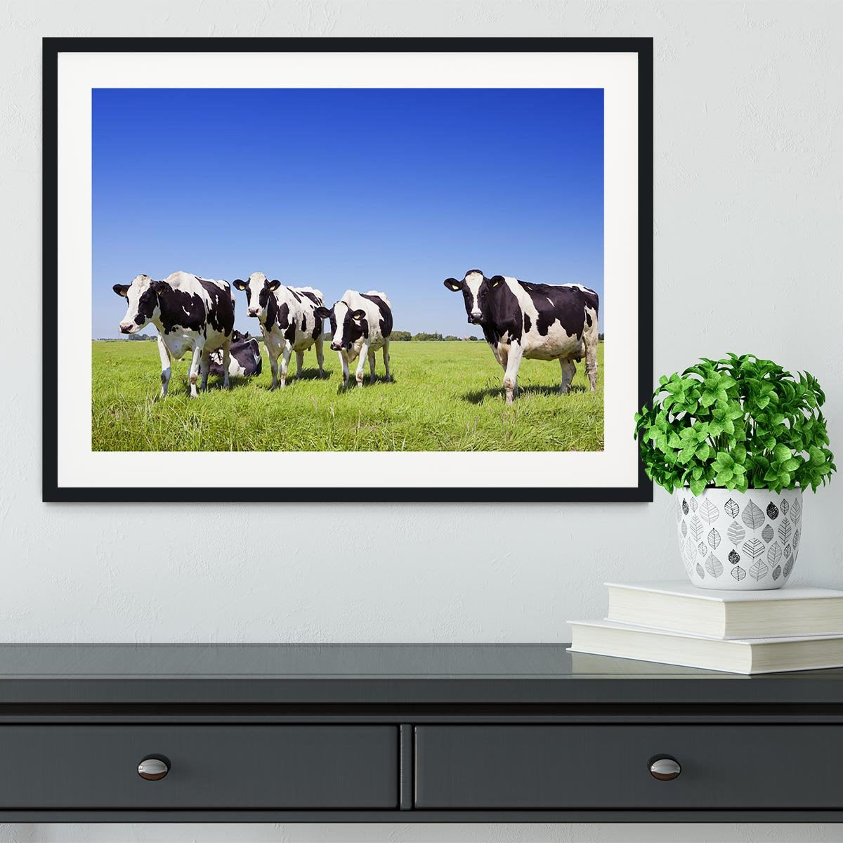 Black and white cows in a grassy field Framed Print - Canvas Art Rocks - 1