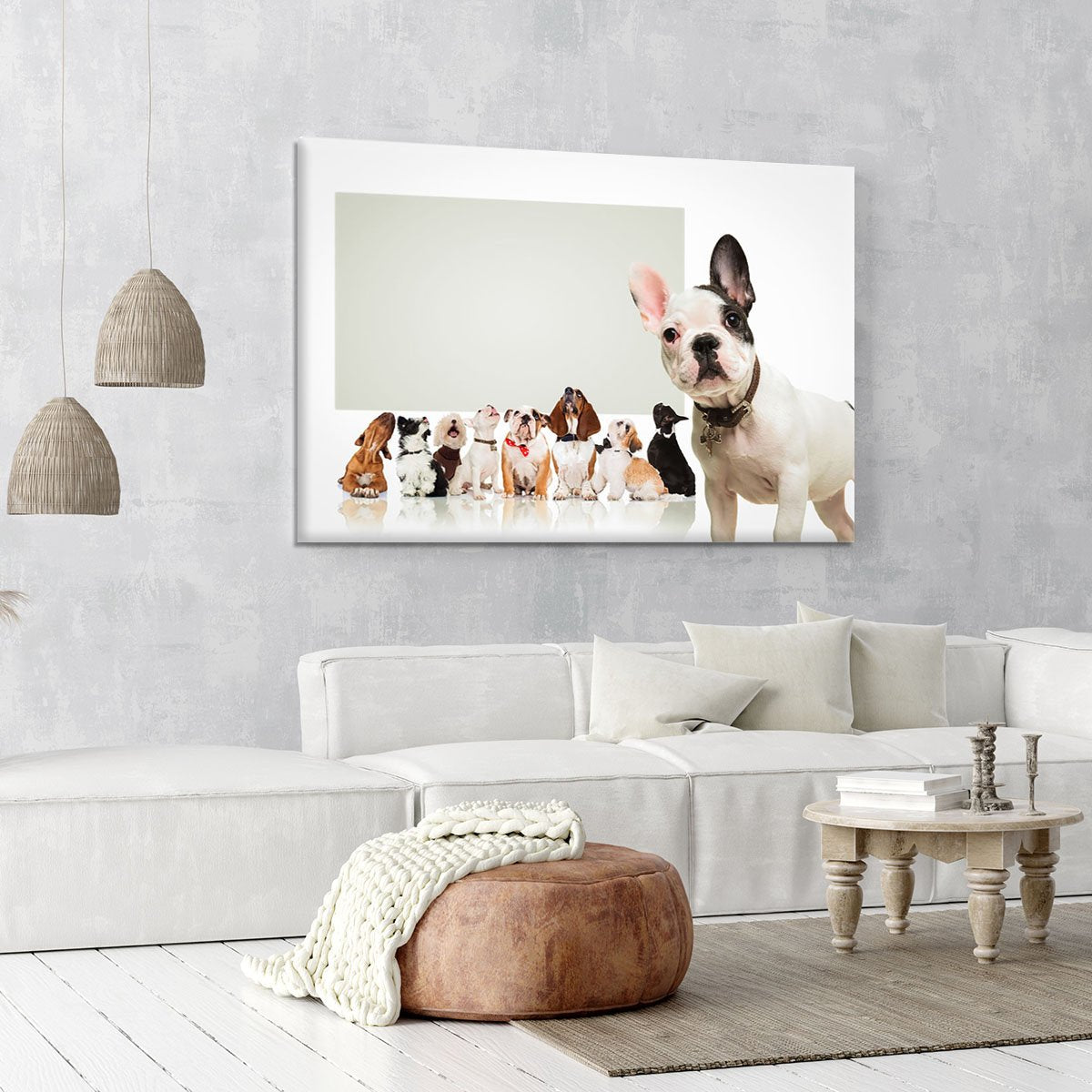 Black and white french bulldog puppy Canvas Print or Poster