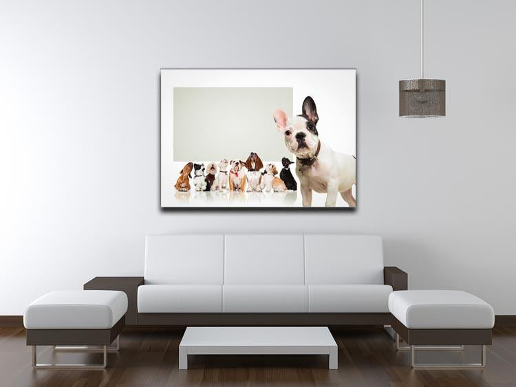 Black and white french bulldog puppy Canvas Print or Poster - Canvas Art Rocks - 4