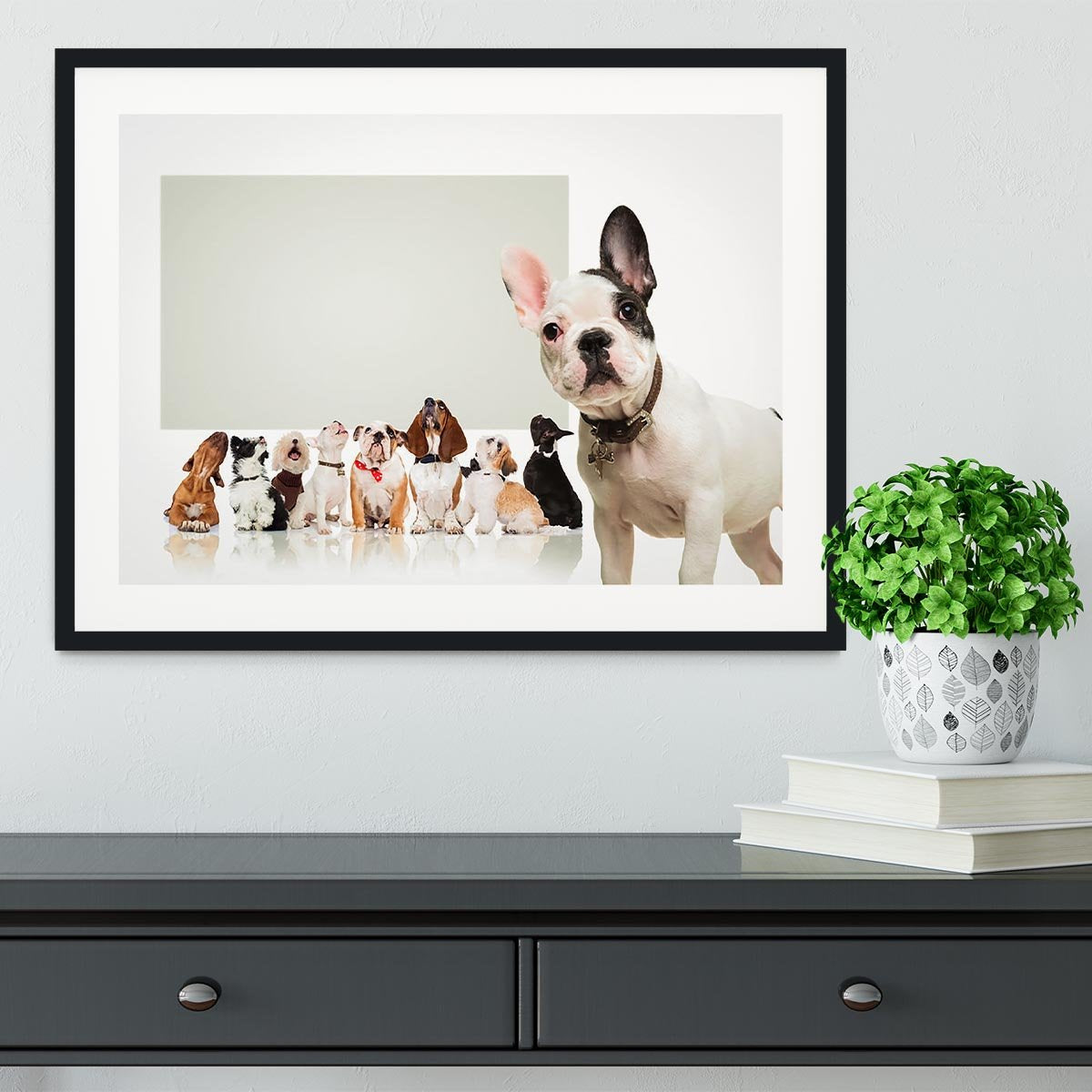 Black and white french bulldog puppy Framed Print - Canvas Art Rocks - 1