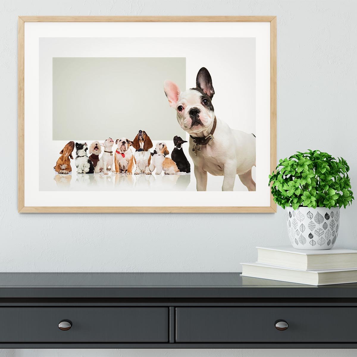 Black and white french bulldog puppy Framed Print - Canvas Art Rocks - 3