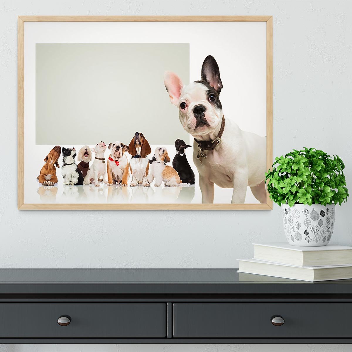 Black and white french bulldog puppy Framed Print - Canvas Art Rocks - 4