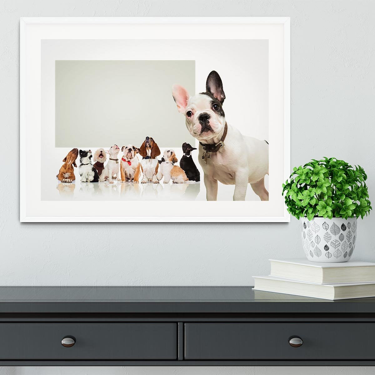 Black and white french bulldog puppy Framed Print - Canvas Art Rocks - 5