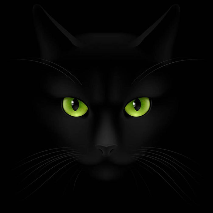 Black cat with green eyes Wall Mural Wallpaper