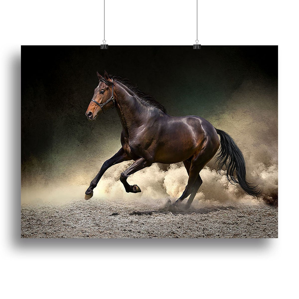 Black horse run gallop in dust desert Canvas Print or Poster