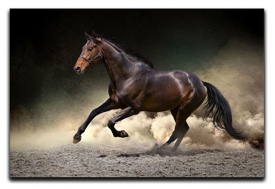 Black horse run gallop in dust desert Canvas Print or Poster - Canvas Art Rocks - 1