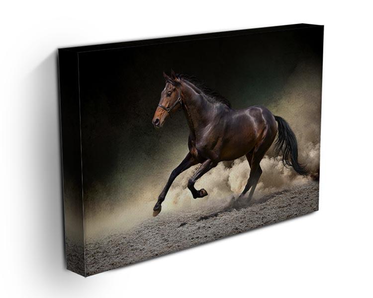 Black horse run gallop in dust desert Canvas Print or Poster - Canvas Art Rocks - 3