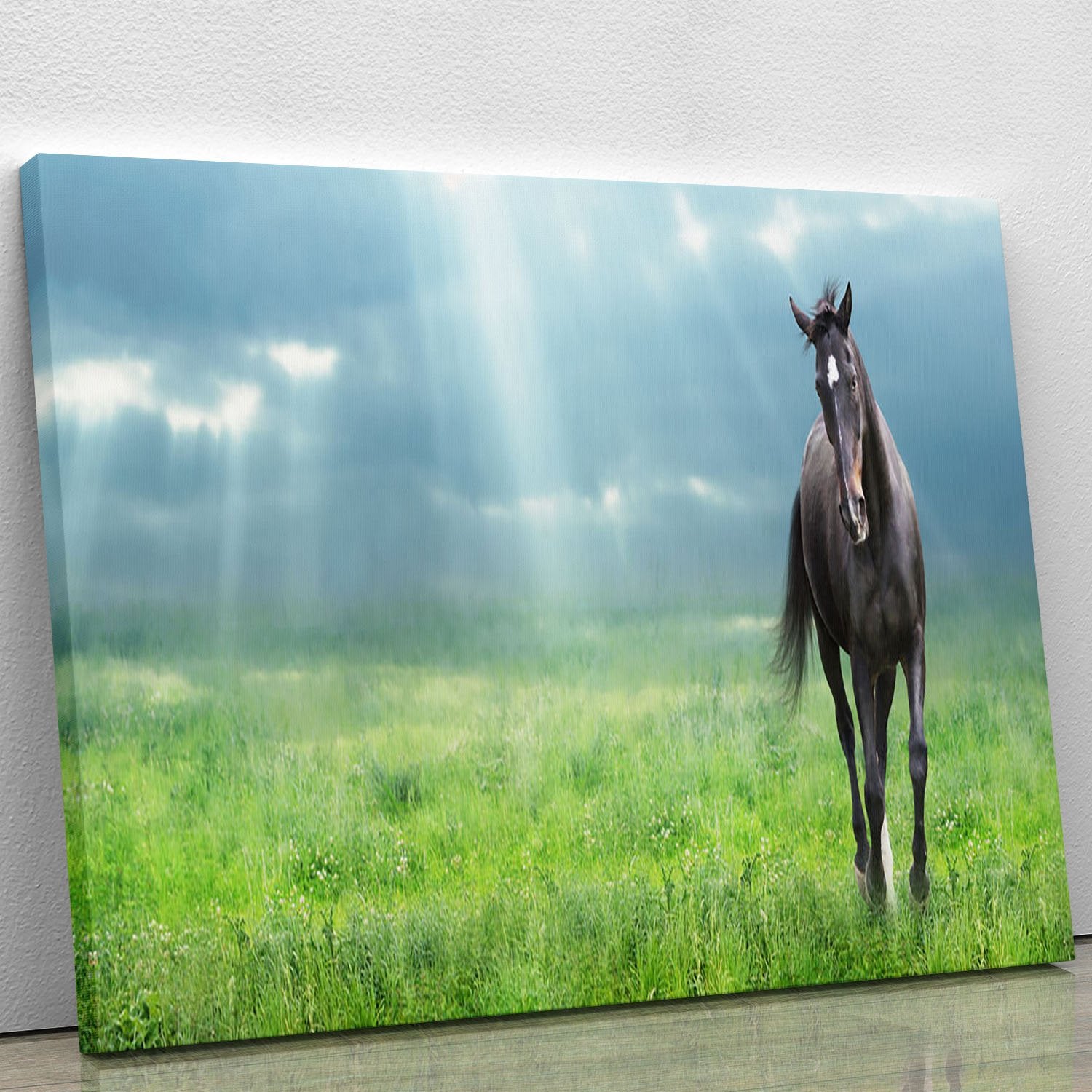Black horse running Canvas Print or Poster