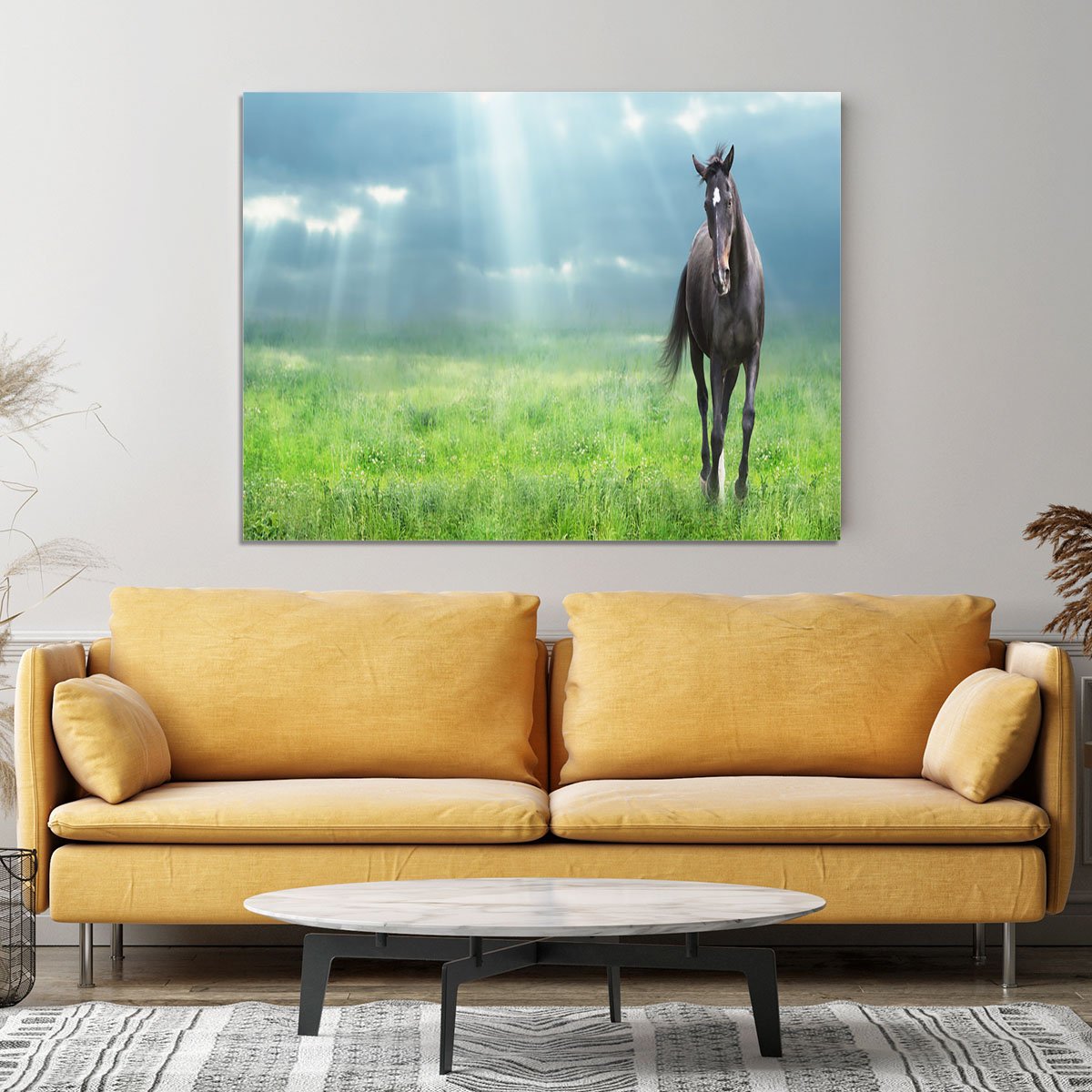 Black horse running Canvas Print or Poster