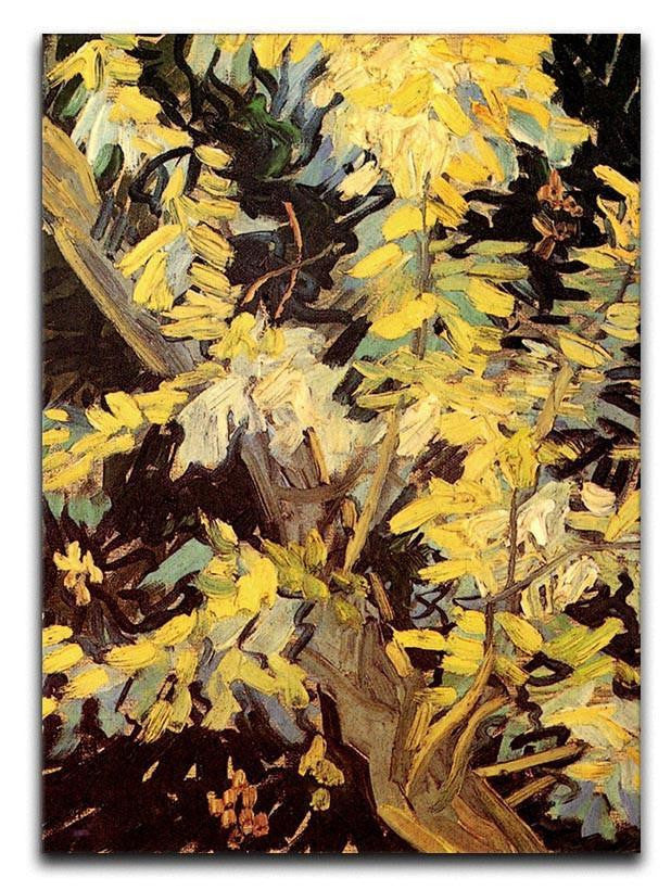 Blossoming Acacia Branches by Van Gogh Canvas Print & Poster  - Canvas Art Rocks - 1