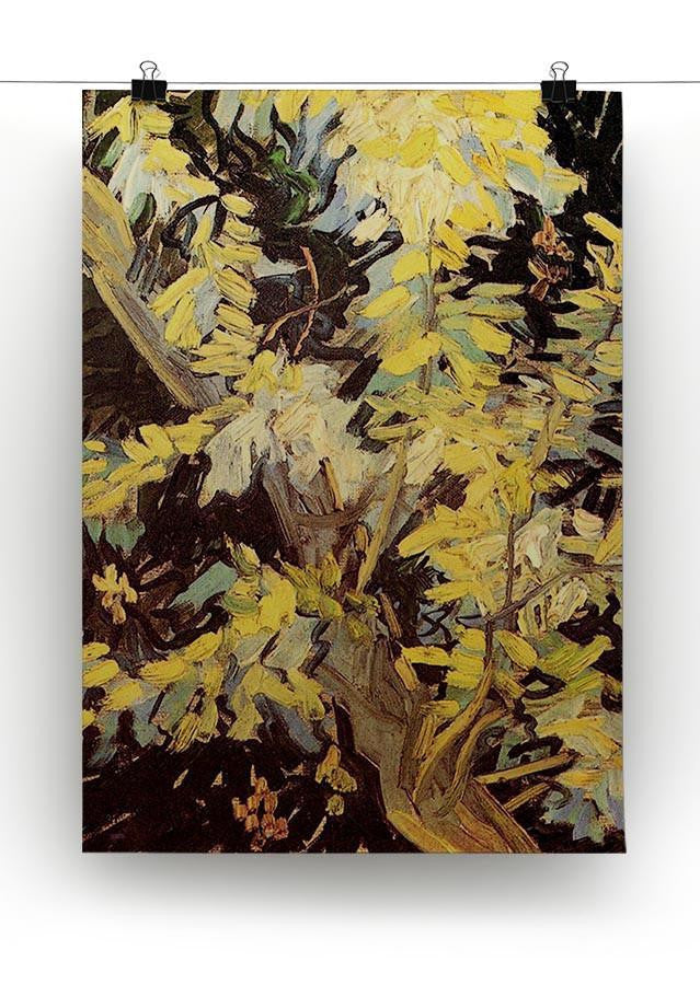 Blossoming Acacia Branches by Van Gogh Canvas Print & Poster - Canvas Art Rocks - 2