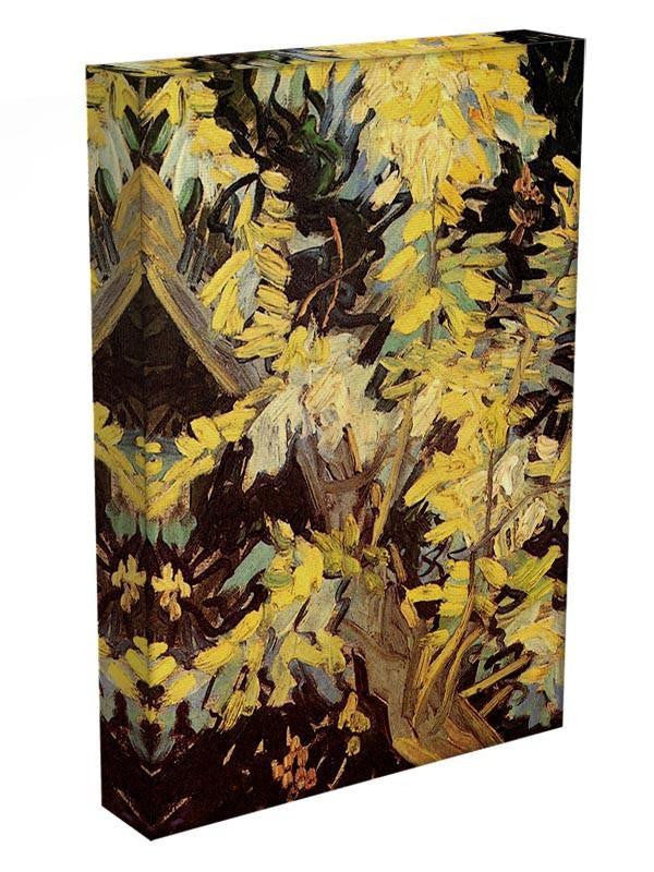 Blossoming Acacia Branches by Van Gogh Canvas Print & Poster - Canvas Art Rocks - 3