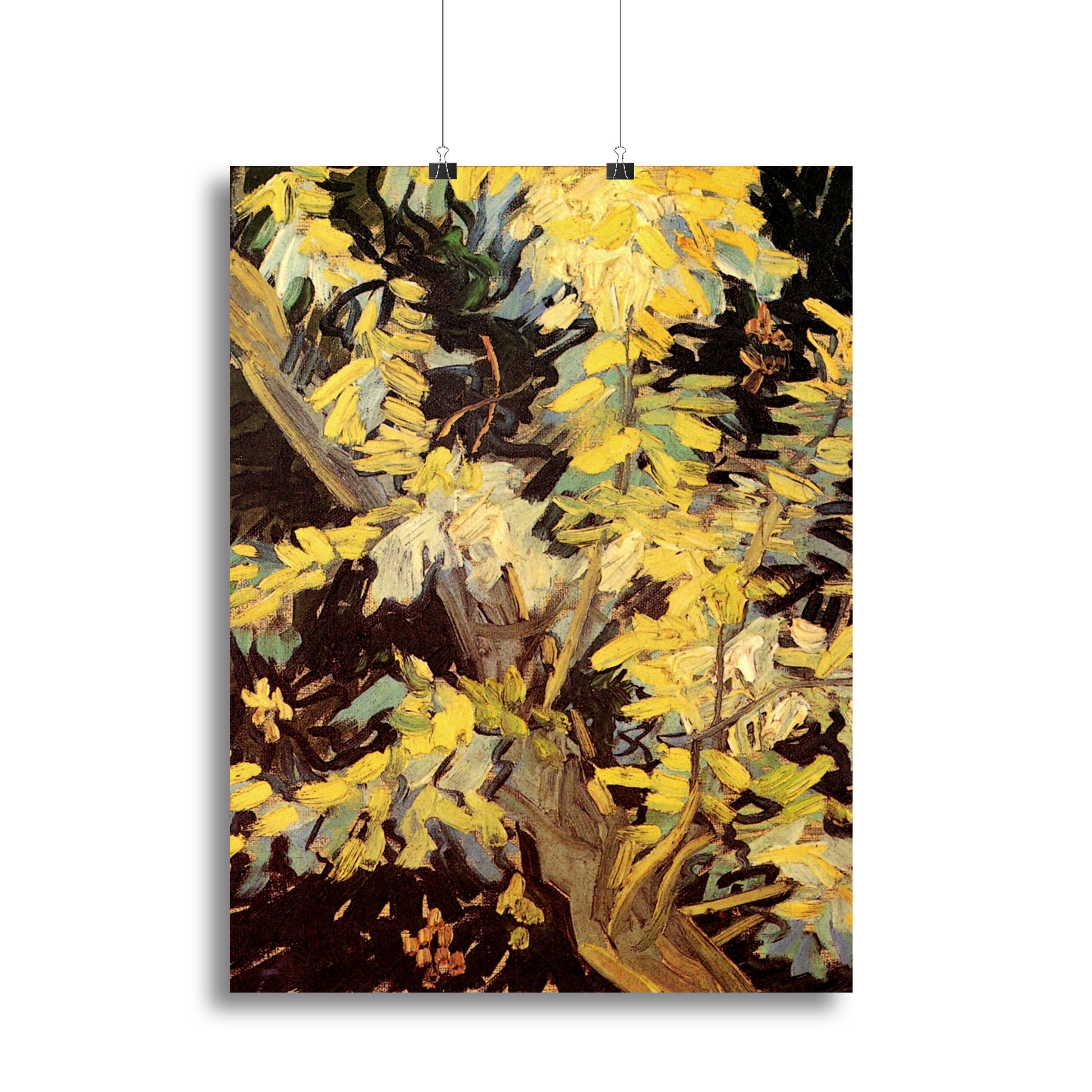 Blossoming Acacia Branches by Van Gogh Canvas Print or Poster