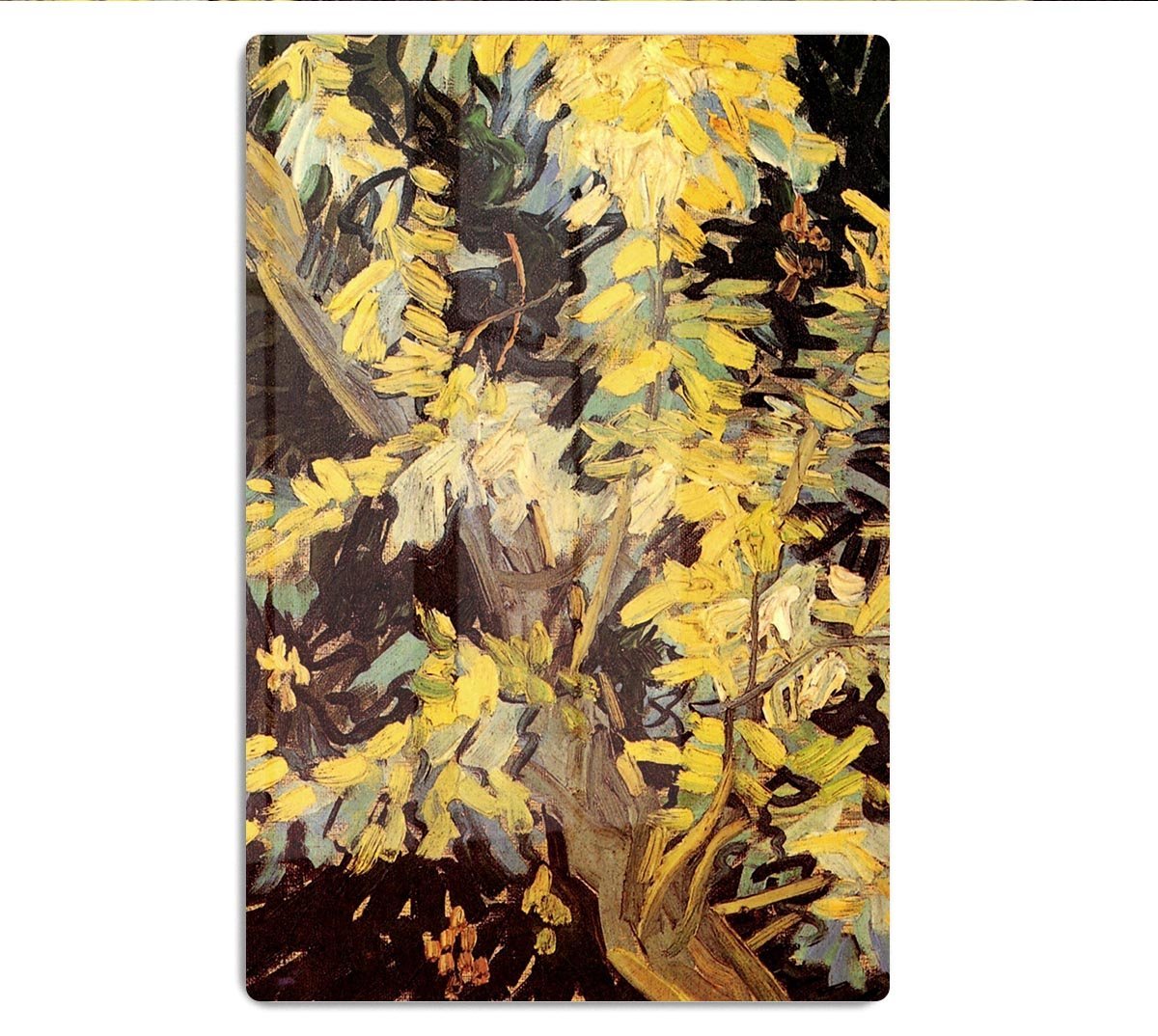 Blossoming Acacia Branches by Van Gogh HD Metal Print