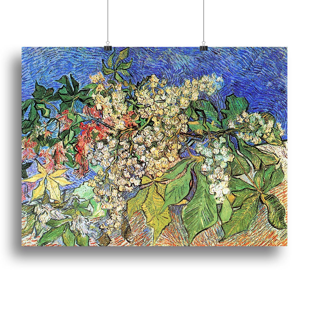 Blossoming Chestnut Branches by Van Gogh Canvas Print or Poster
