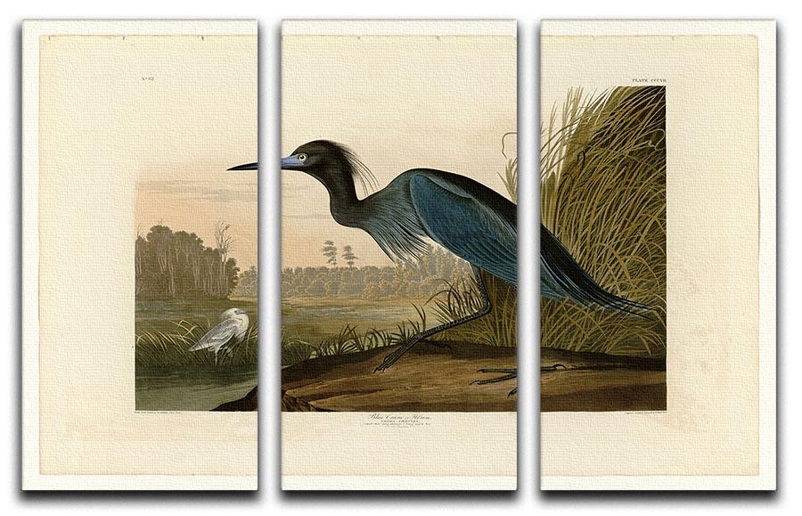 Blue Crane by Audubon 3 Split Panel Canvas Print - Canvas Art Rocks - 1