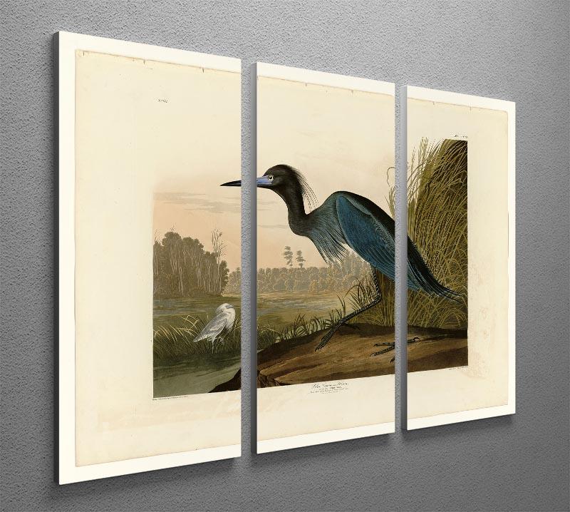 Blue Crane by Audubon 3 Split Panel Canvas Print - Canvas Art Rocks - 2