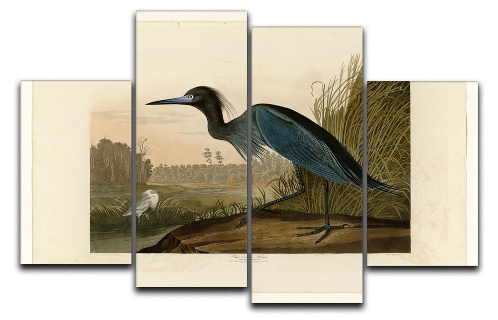 Blue Crane by Audubon 4 Split Panel Canvas - Canvas Art Rocks - 1
