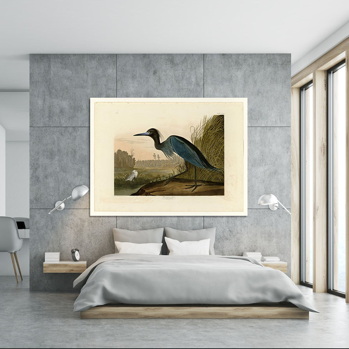 Blue Crane by Audubon Canvas Print or Poster