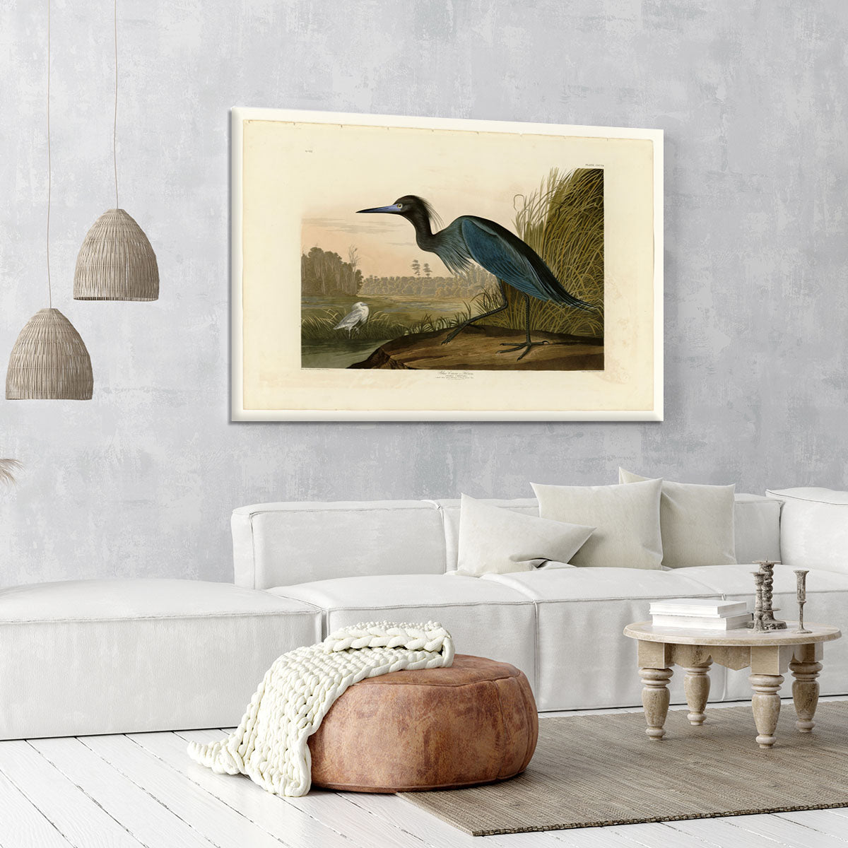 Blue Crane by Audubon Canvas Print or Poster