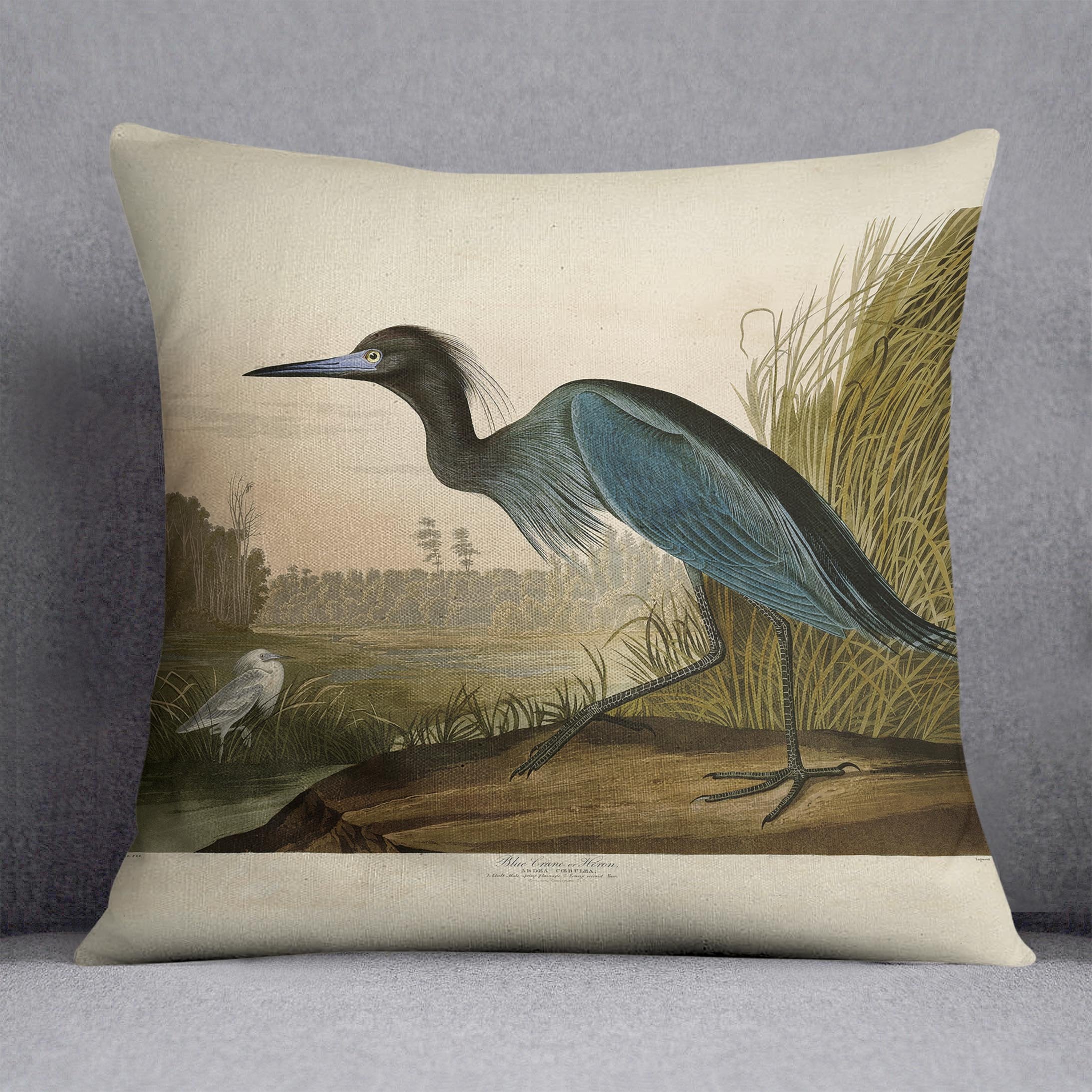 Blue Crane by Audubon Cushion