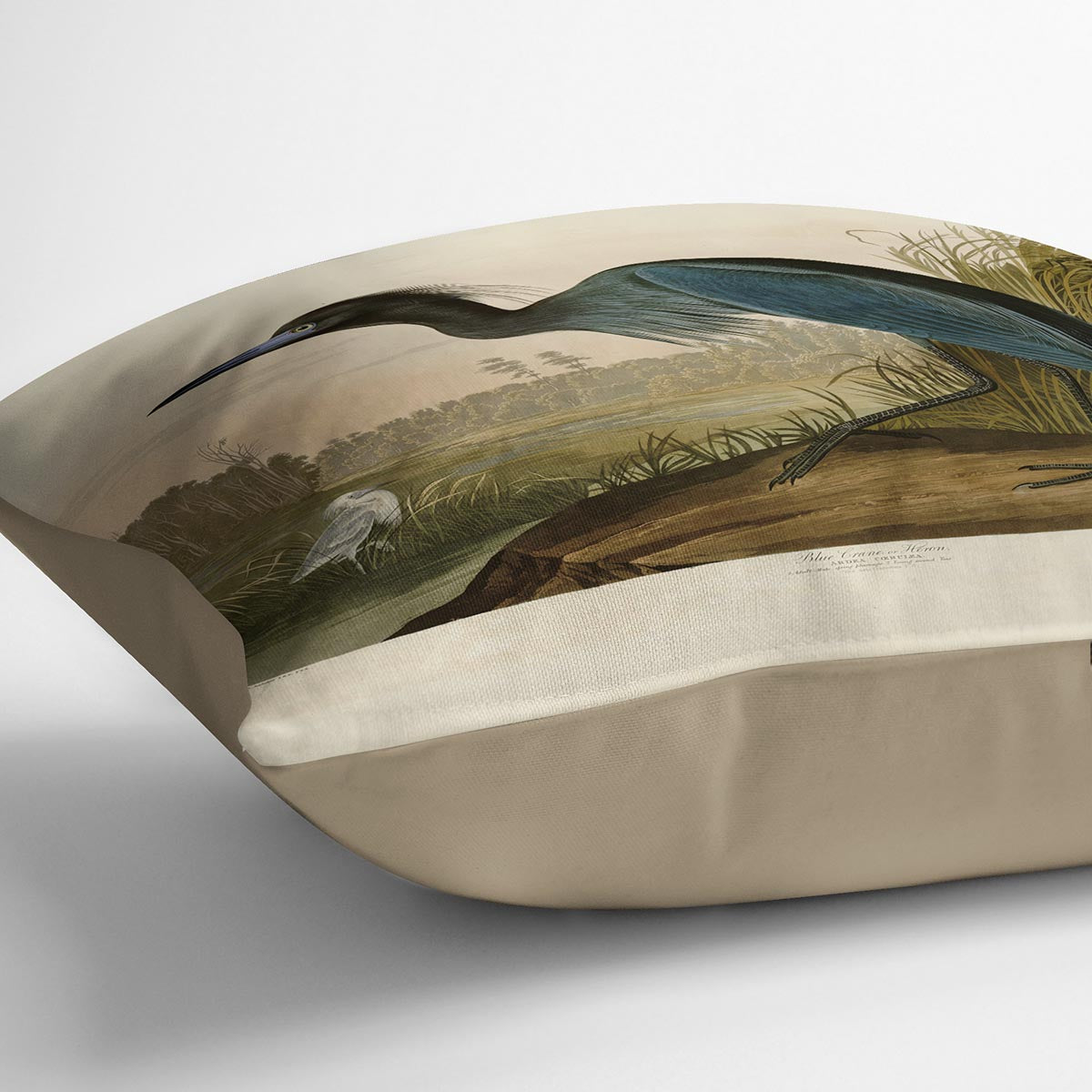 Blue Crane by Audubon Cushion