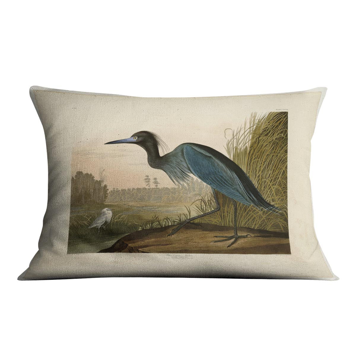 Blue Crane by Audubon Cushion