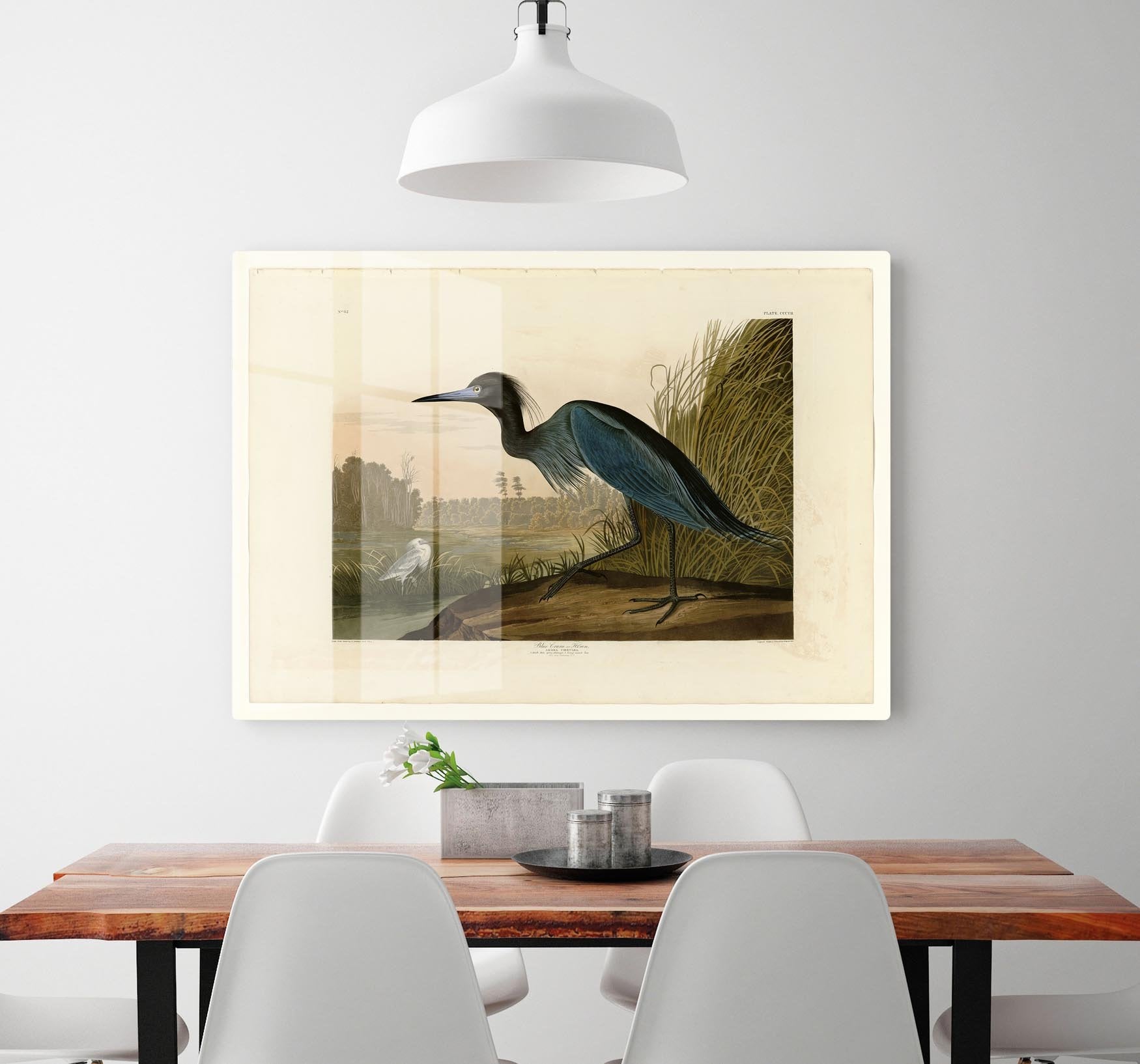 Blue Crane by Audubon HD Metal Print - Canvas Art Rocks - 2