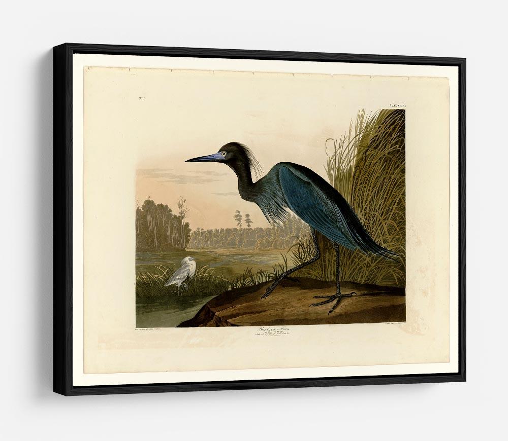 Blue Crane by Audubon HD Metal Print - Canvas Art Rocks - 6
