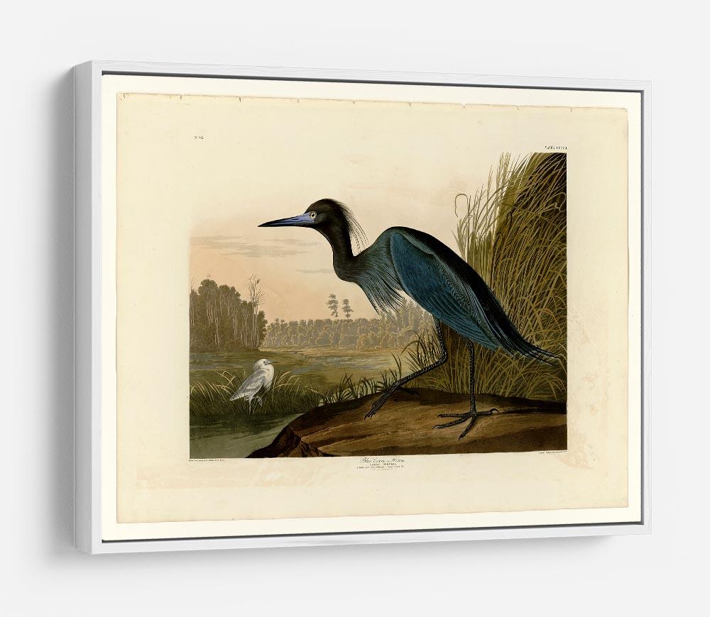 Blue Crane by Audubon HD Metal Print - Canvas Art Rocks - 7
