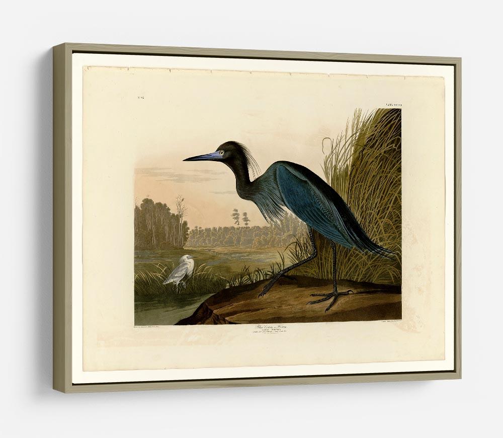 Blue Crane by Audubon HD Metal Print - Canvas Art Rocks - 8